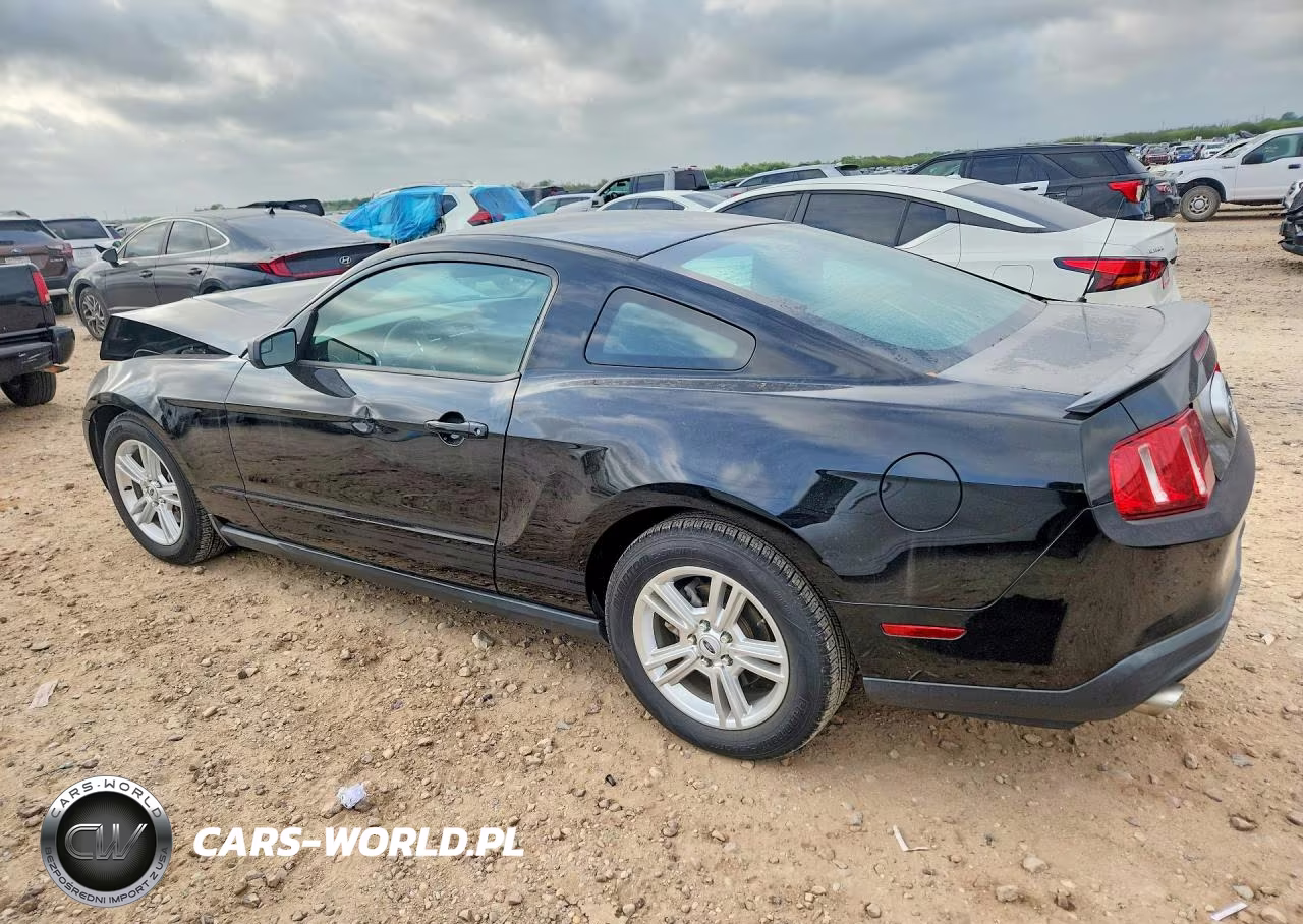 2011 Ford Mustang VIN:1ZVBP8AMXB5131556 - 2