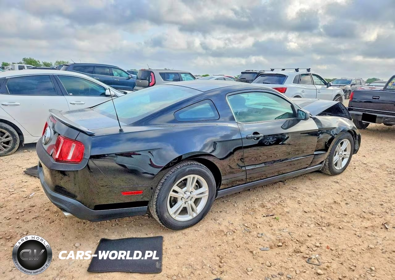 2011 Ford Mustang VIN:1ZVBP8AMXB5131556 - 3