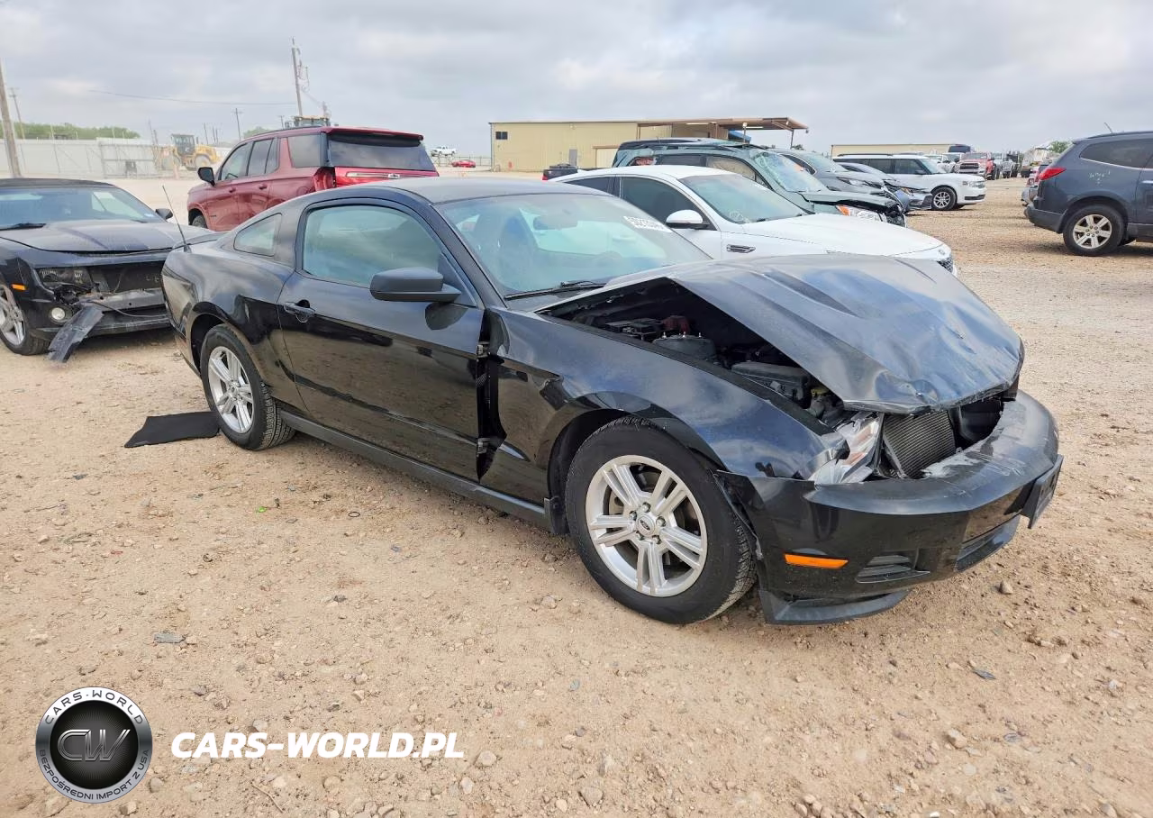 2011 Ford Mustang VIN:1ZVBP8AMXB5131556 - 4