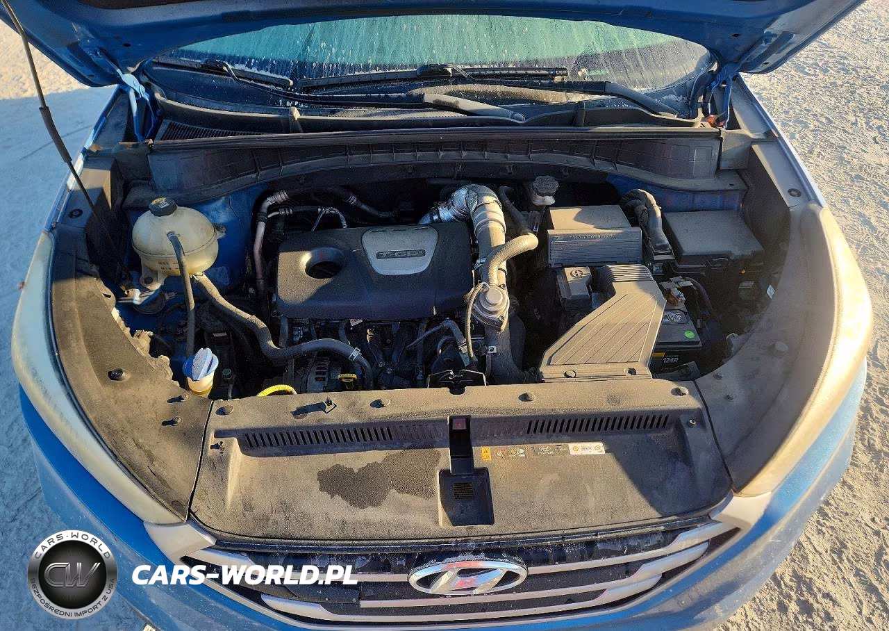 2017 Hyundai Tucson Eco VIN:KM8J33A20HU421715 - 12