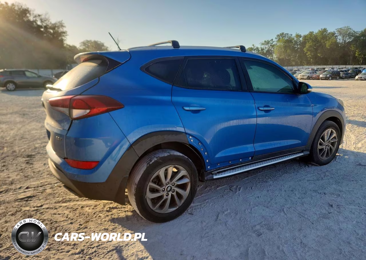 2017 Hyundai Tucson Eco VIN:KM8J33A20HU421715 - 3