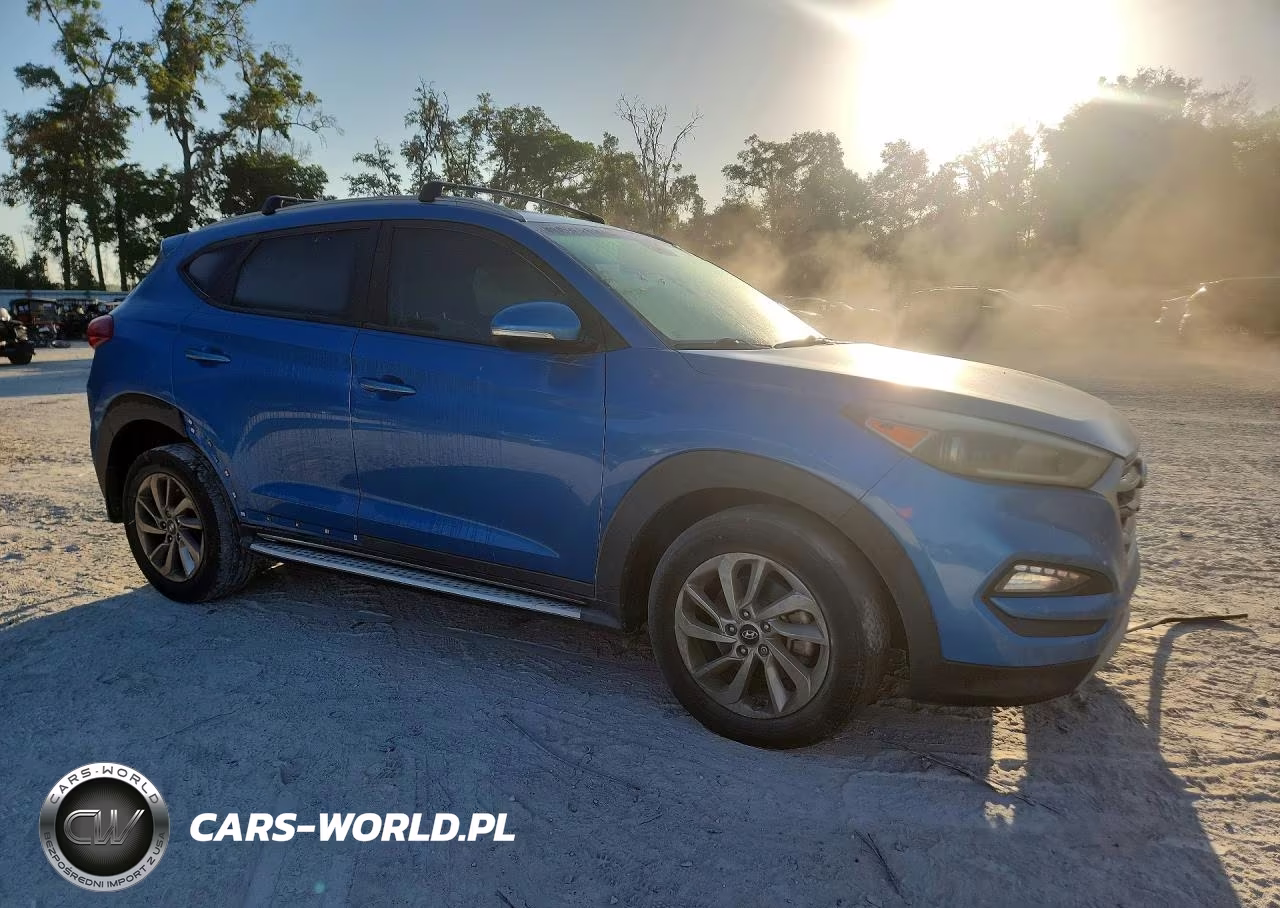 2017 Hyundai Tucson Eco VIN:KM8J33A20HU421715 - 4