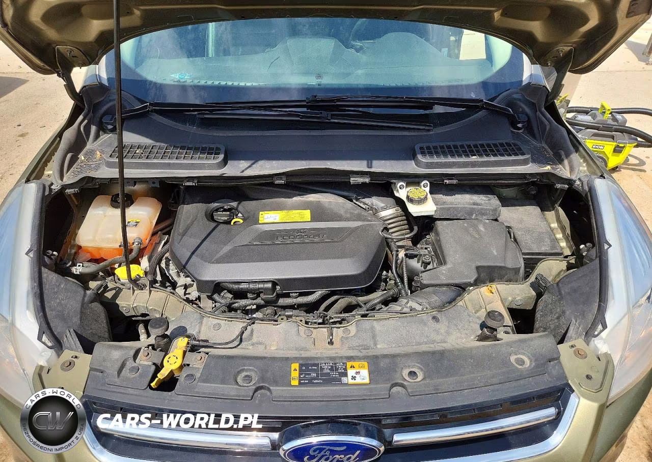 2013 Ford Escape Sel VIN:1FMCU0HX1DUD41615 - 11