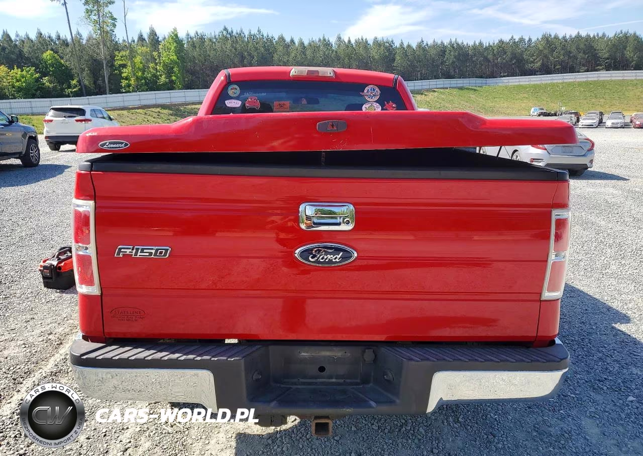 2009 Ford F150 VIN:1FTRF12W69KC95457 - 6