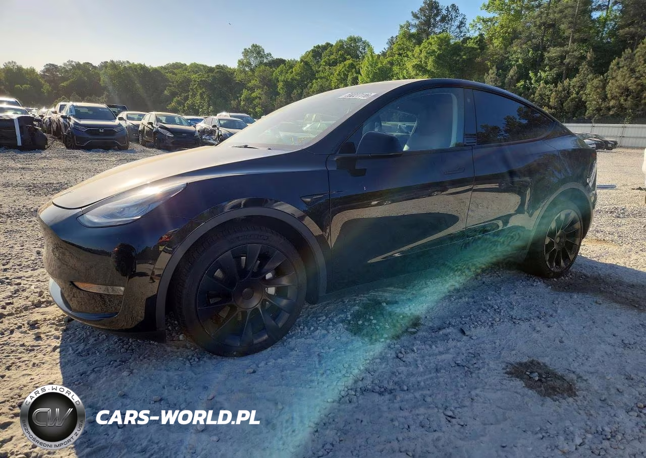 2023 Tesla Model Y VIN:7SAYGDEE5PA118602 - 1