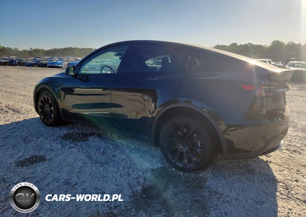2023 Tesla Model Y VIN:7SAYGDEE5PA118602 - 2
