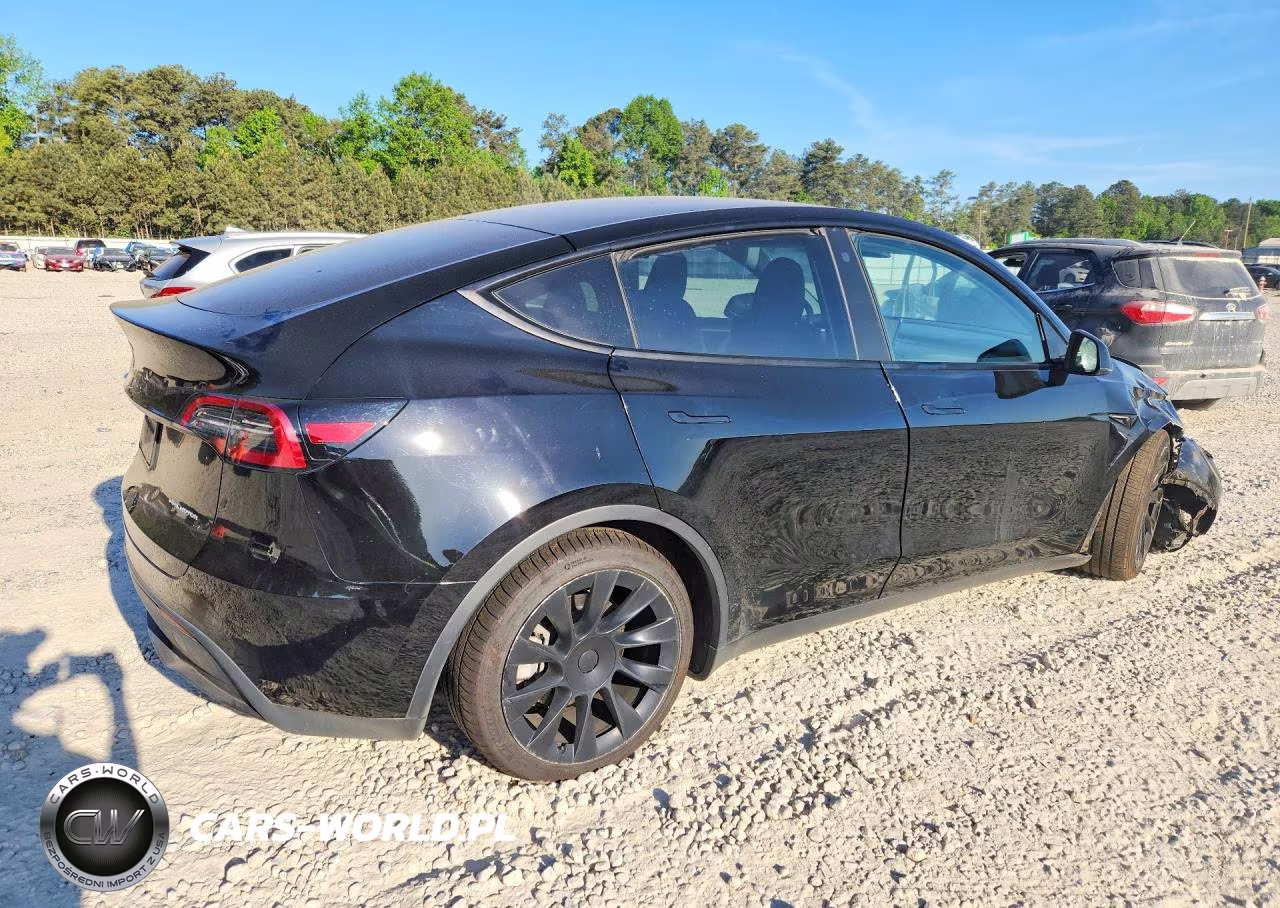 2023 Tesla Model Y VIN:7SAYGDEE5PA118602 - 3
