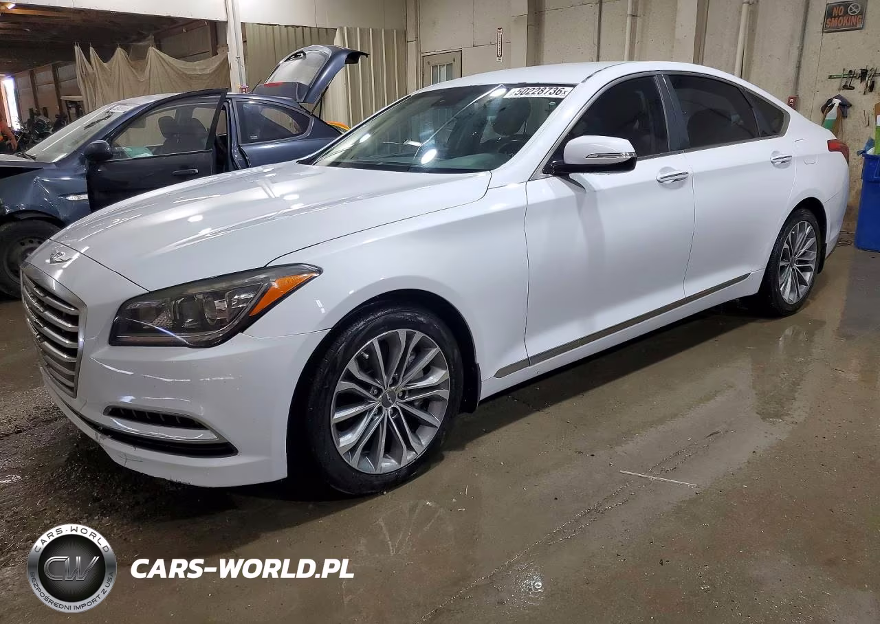 2016 Hyundai Genesis 3.8L VIN:KMHGN4JE4GU142979 - 1