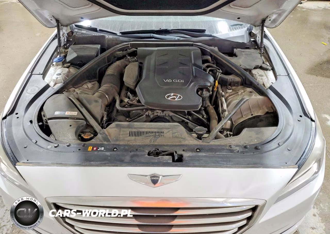 2016 Hyundai Genesis 3.8L VIN:KMHGN4JE4GU142979 - 11