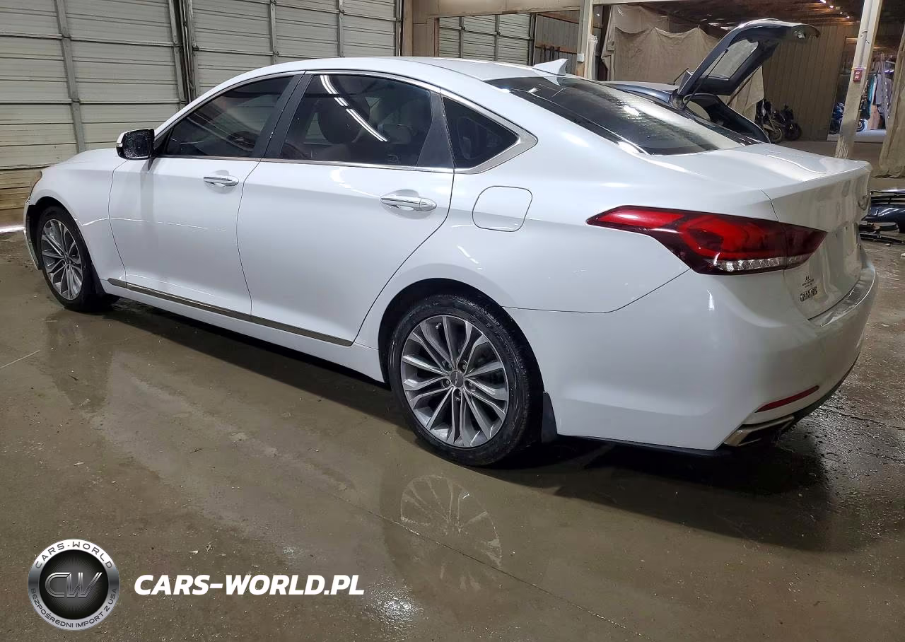2016 Hyundai Genesis 3.8L VIN:KMHGN4JE4GU142979 - 2