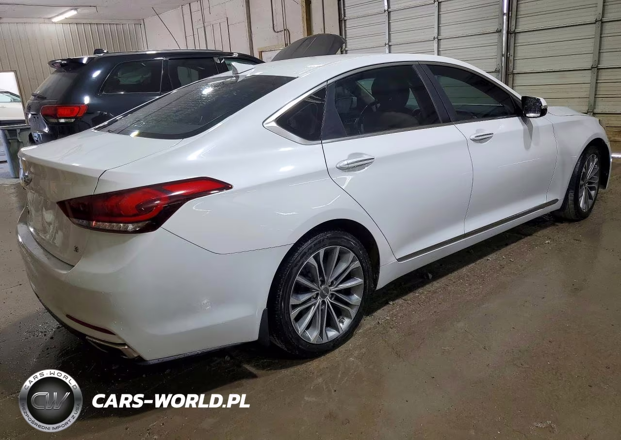 2016 Hyundai Genesis 3.8L VIN:KMHGN4JE4GU142979 - 3