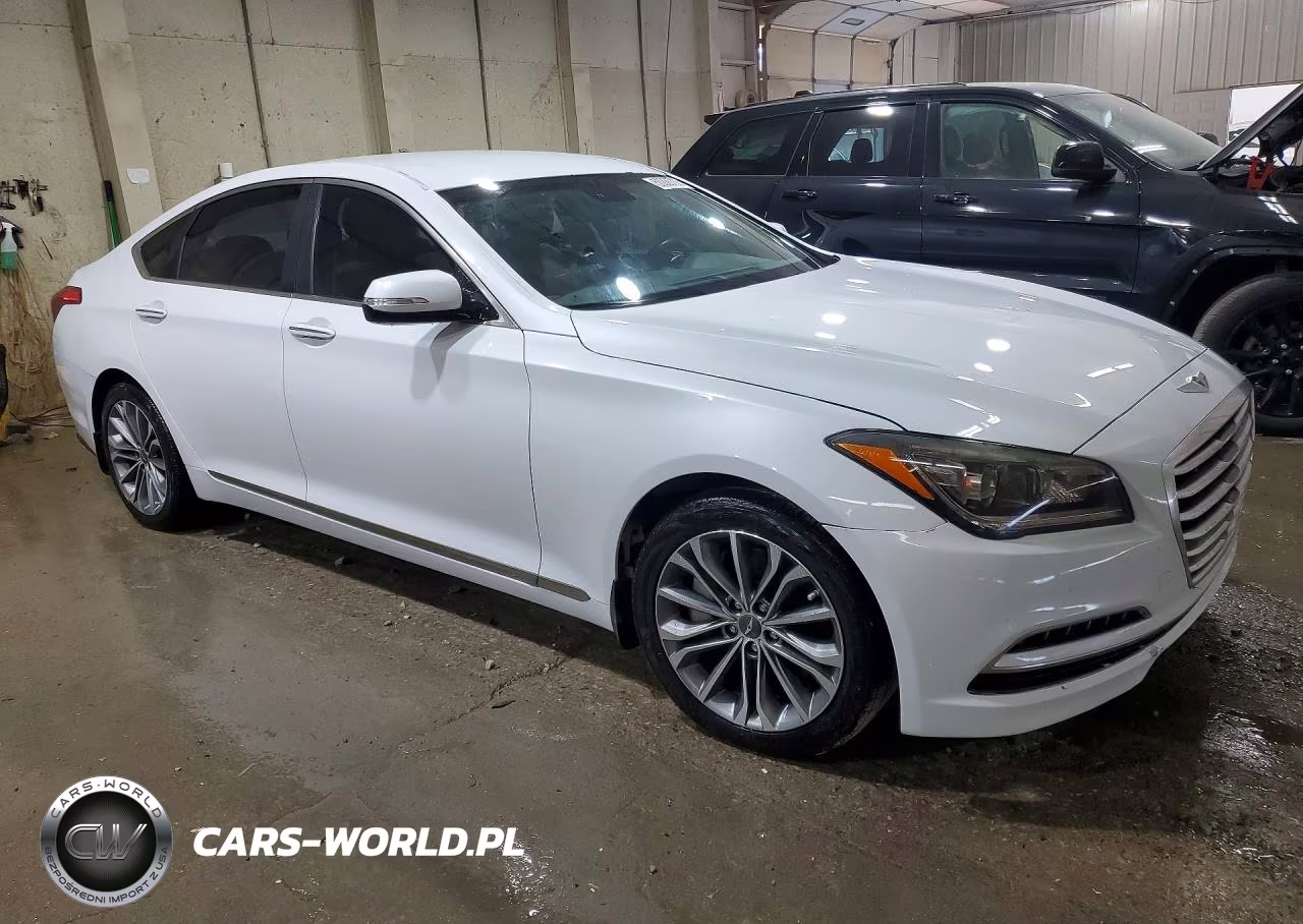 2016 Hyundai Genesis 3.8L VIN:KMHGN4JE4GU142979 - 4