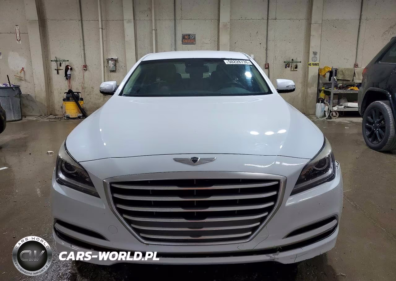 2016 Hyundai Genesis 3.8L VIN:KMHGN4JE4GU142979 - 5