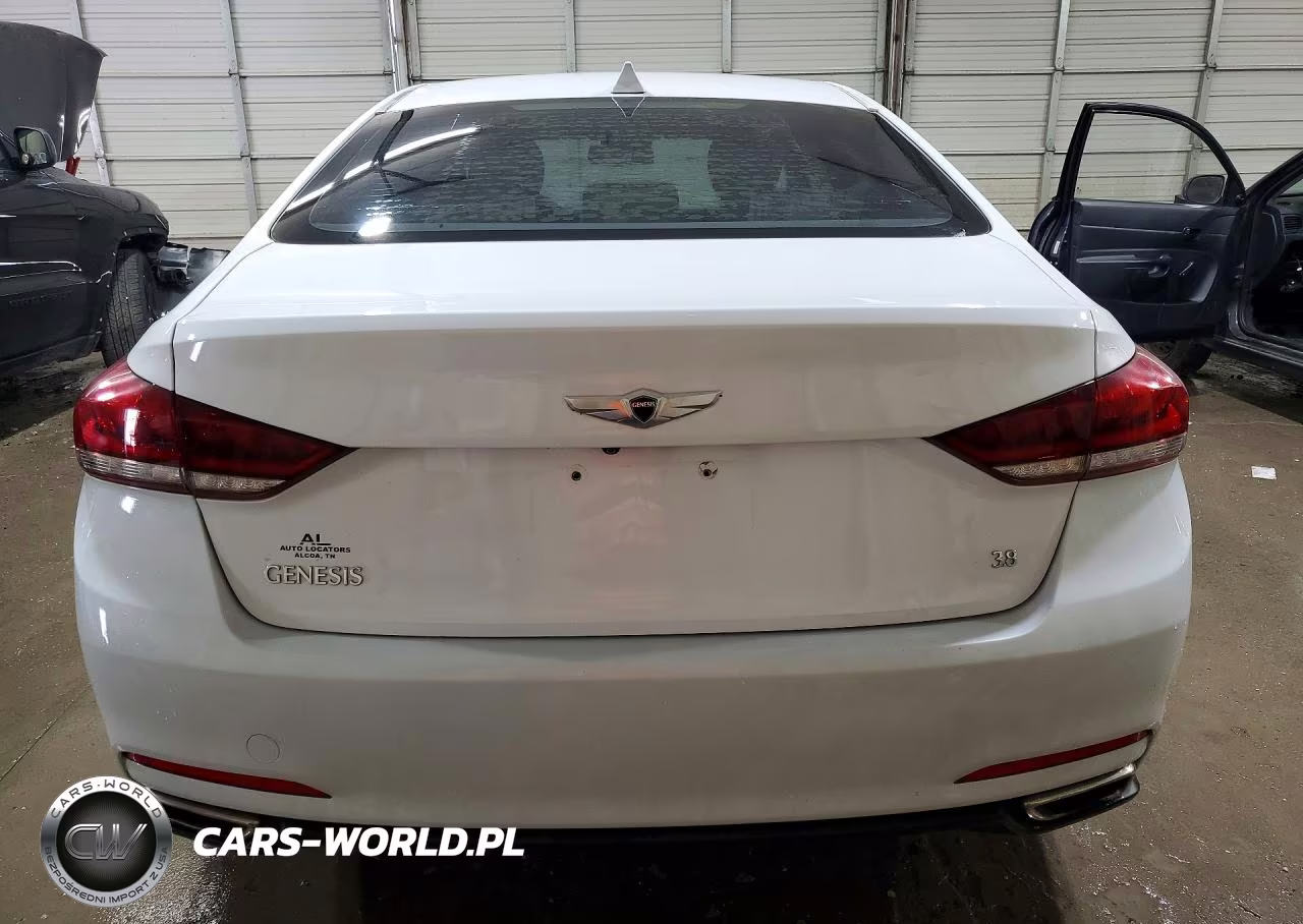 2016 Hyundai Genesis 3.8L VIN:KMHGN4JE4GU142979 - 6