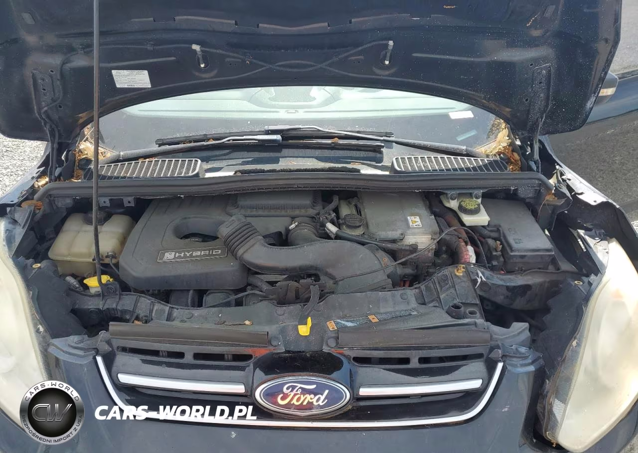 2013 Ford C-Max Se VIN:1FADP5AU0DL511553 - 11