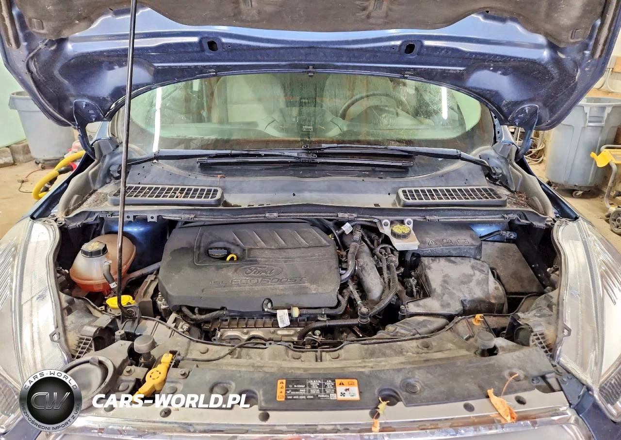 2018 Ford Escape Se VIN:1FMCU0GD9JUC46898 - 12