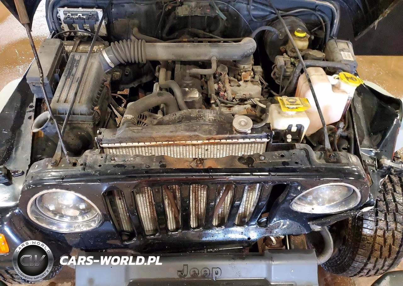 2002 Jeep Wrangler - Tj X VIN:1J4FA39S42P742502 - 11