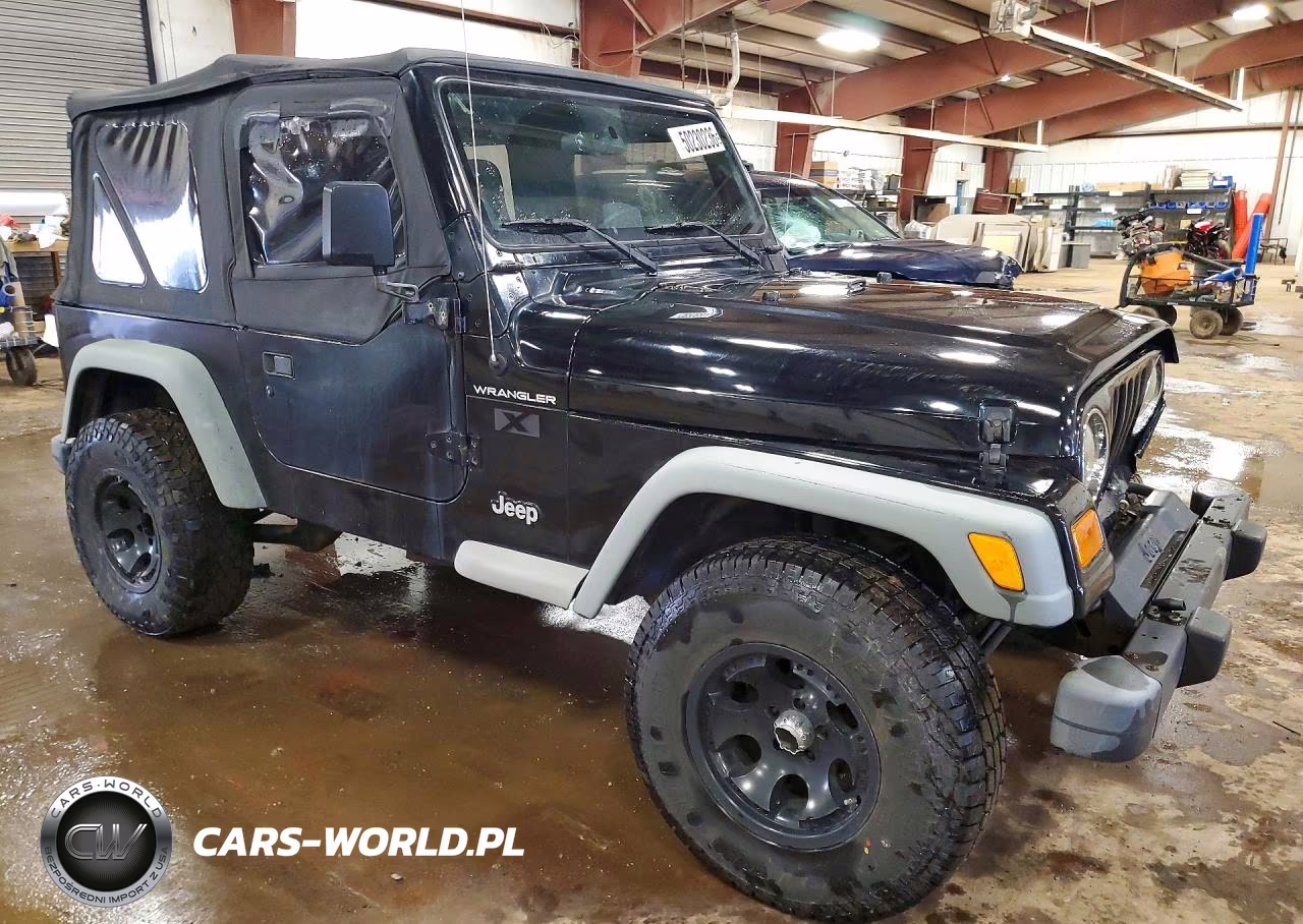 2002 Jeep Wrangler - Tj X VIN:1J4FA39S42P742502 - 4