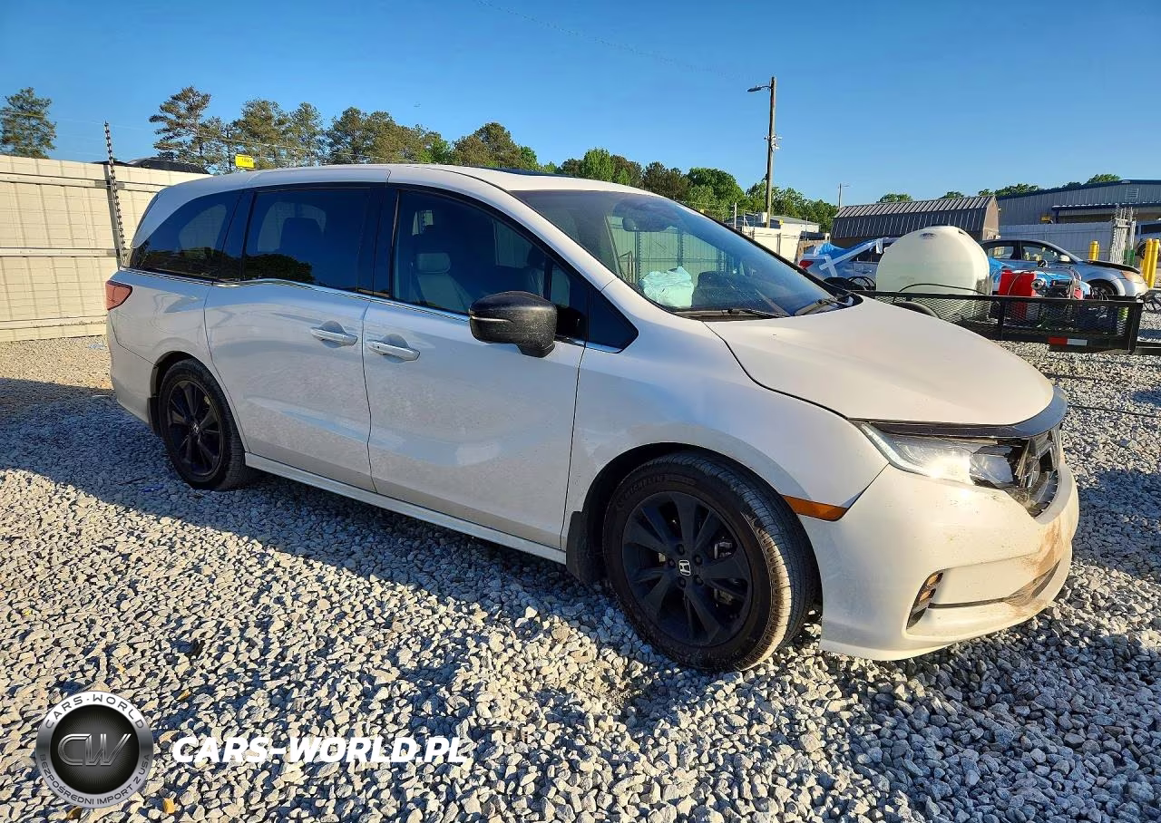 2024 Honda Odyssey Sport VIN:5FNRL6H78RB014245 - 4