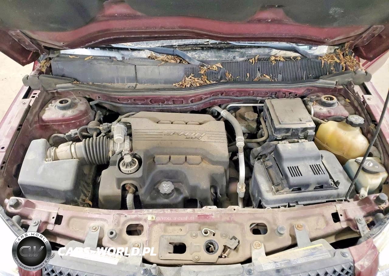 2007 Chevrolet Equinox Ls VIN:2CNDL13FX76092536 - 12