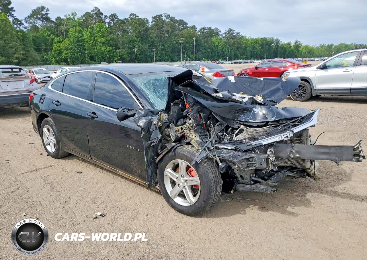 2020 Chevrolet Malibu Ls VIN:1G1ZB5ST2LF137618 - 4