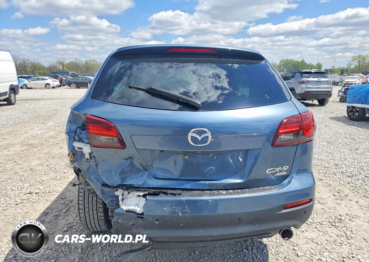 2014 Mazda Cx-9 Touring VIN:JM3TB3CA8E0429091 - 6