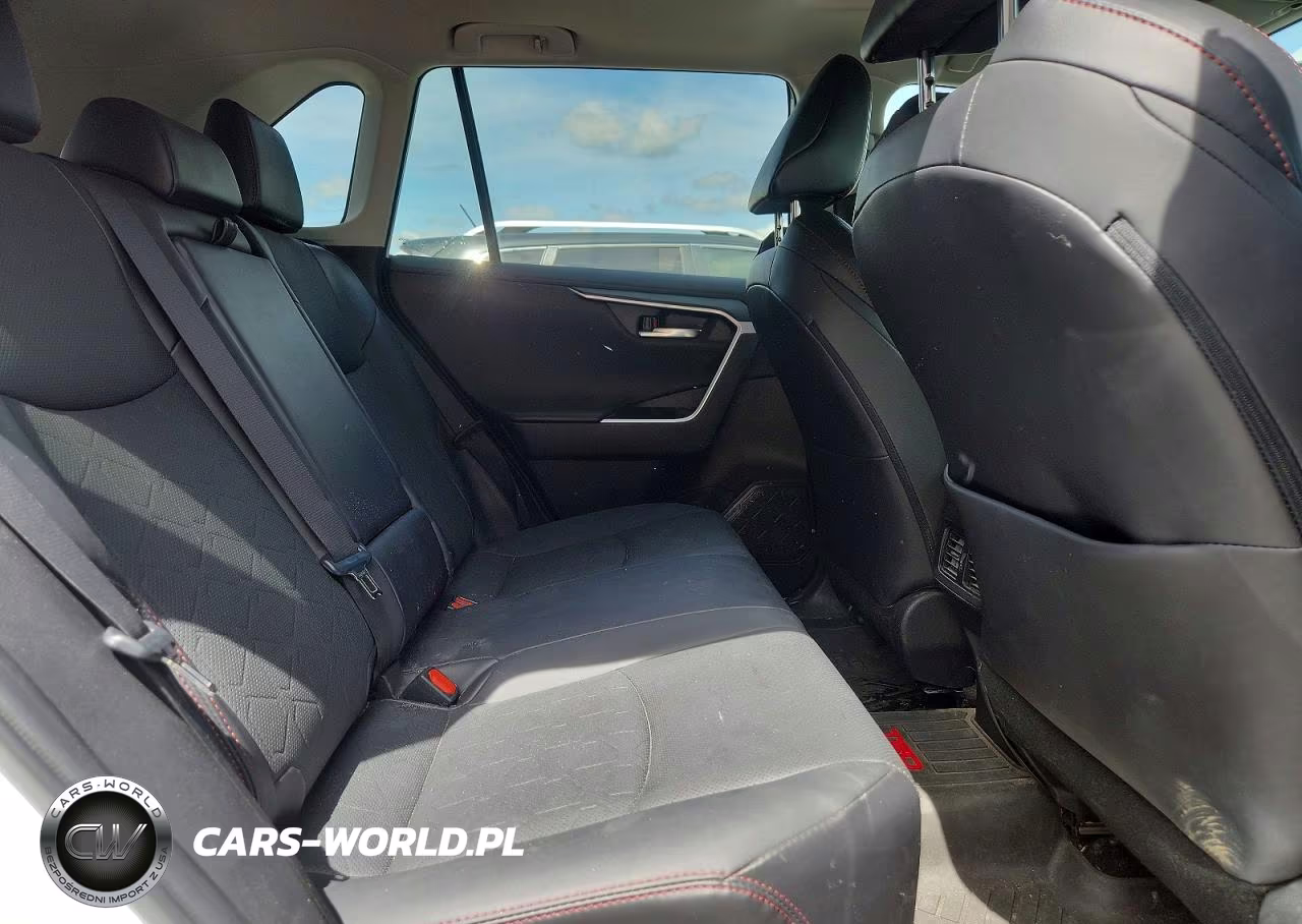 2023 Toyota Rav4 Trd Off Road VIN:2T3S1RFV3PW343873 - 10