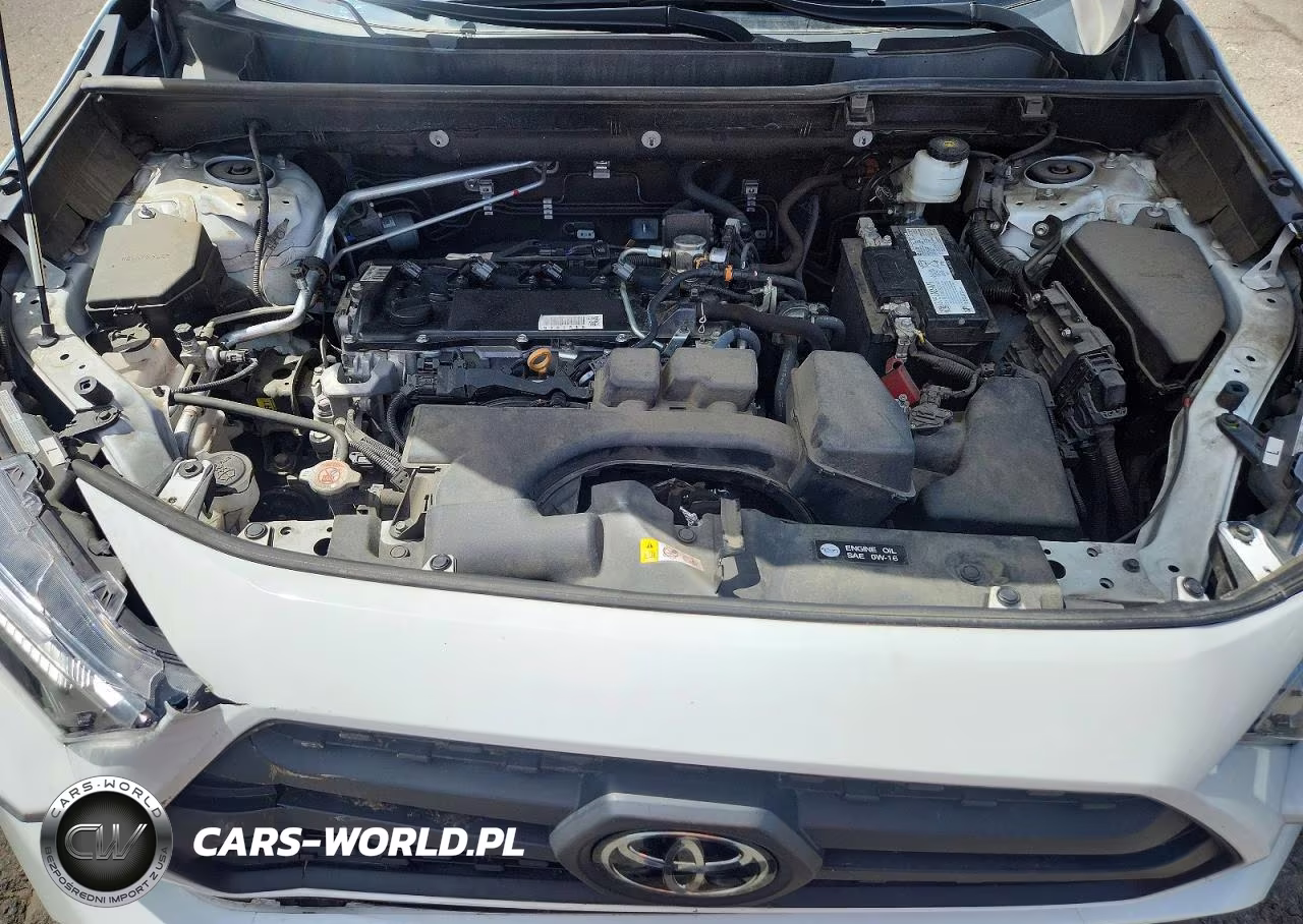 2023 Toyota Rav4 Trd Off Road VIN:2T3S1RFV3PW343873 - 11