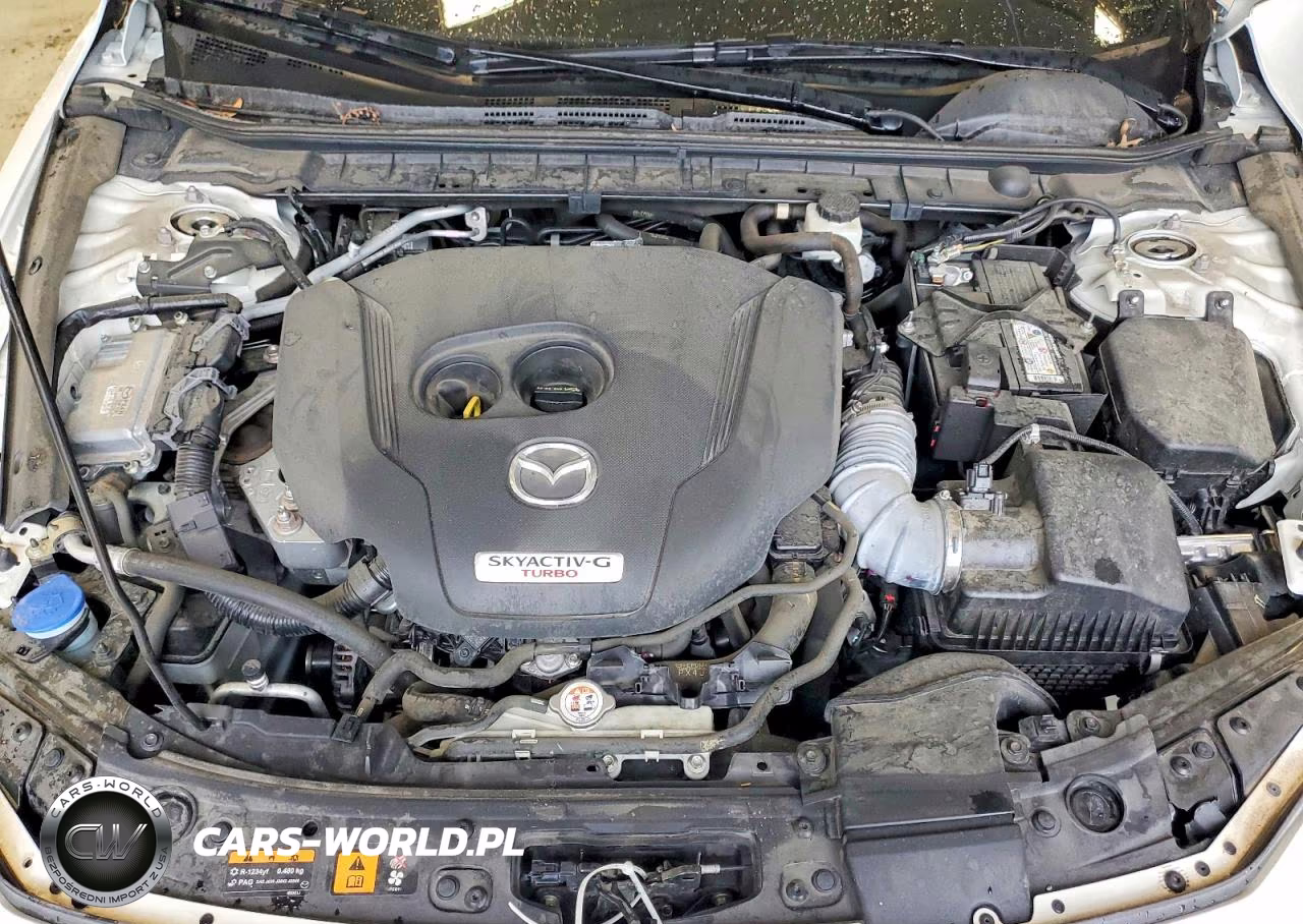 2023 Mazda 3 Premium Plus VIN:3MZBPBEY7PM382076 - 11