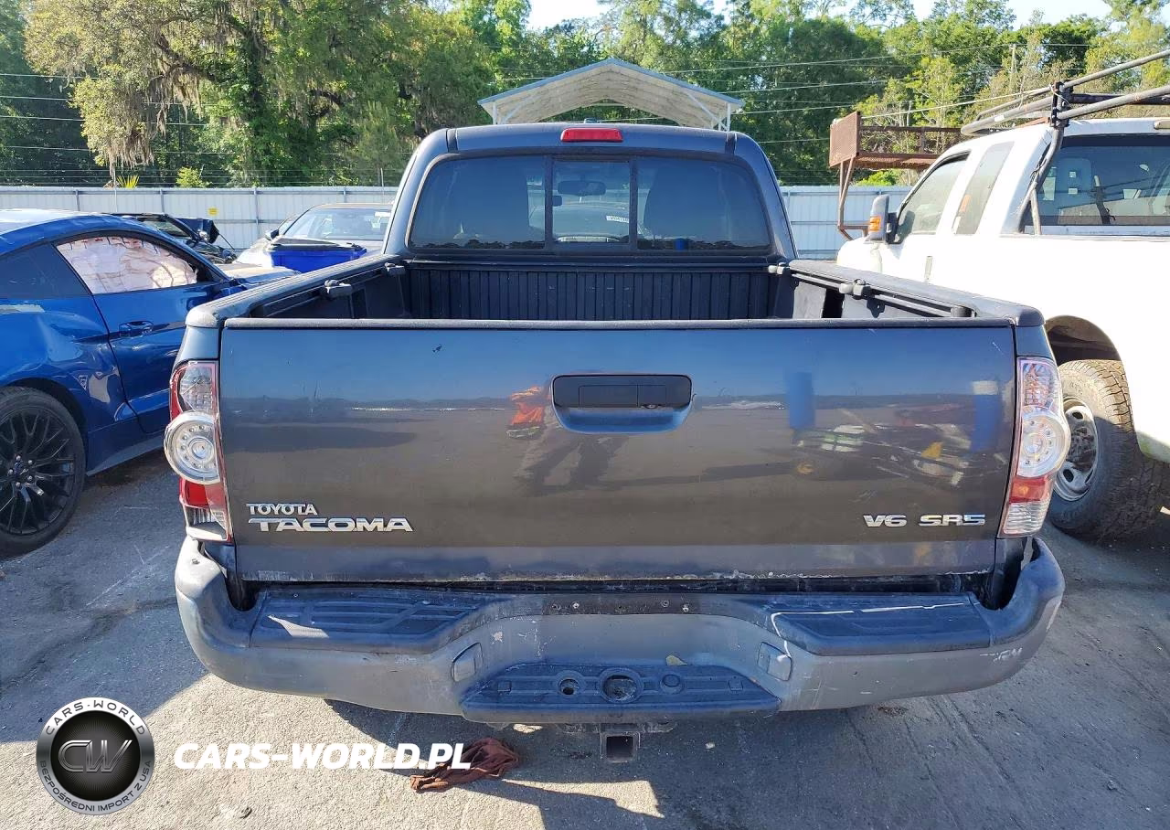 2009 Toyota Tacoma Access Cab VIN:5TEUU42N49Z613337 - 6
