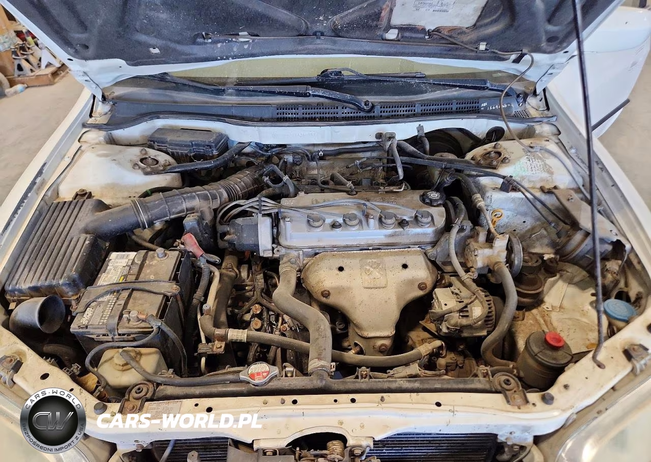 1998 Honda Accord Lx VIN:1HGCG5642WA155329 - 11