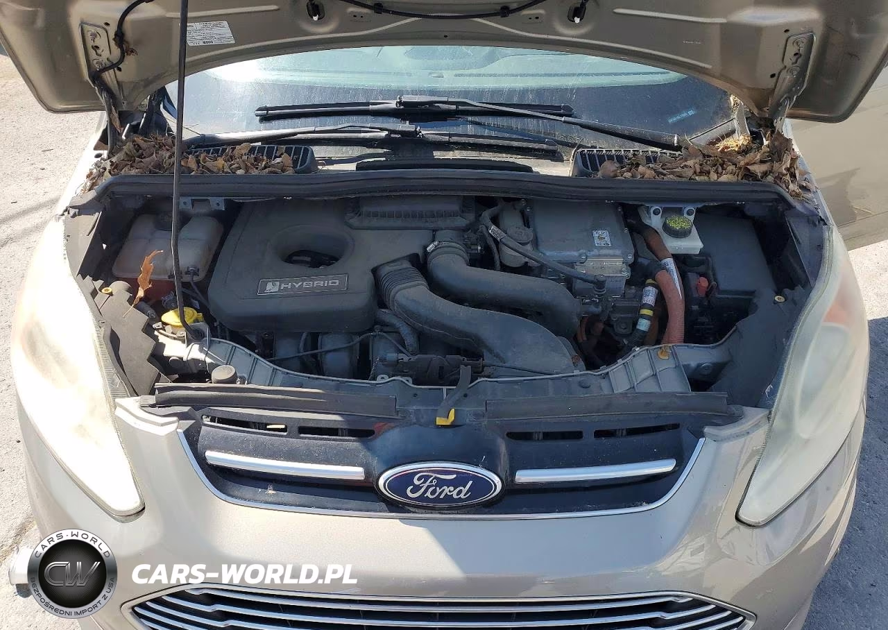 2016 Ford C-Max Sel VIN:1FADP5BU1GL115389 - 11