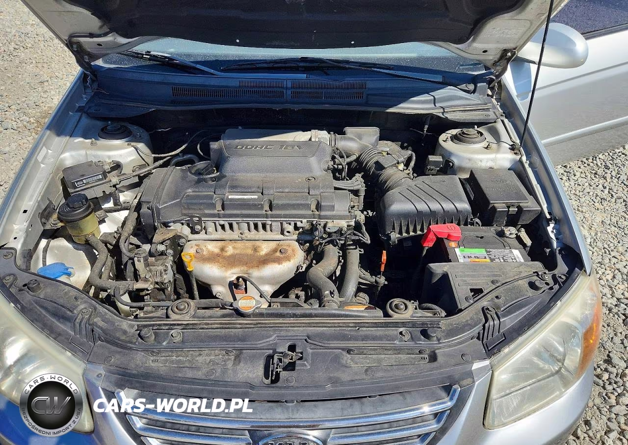 2008 Kia Spectra VIN:KNAFE121185554439 - 11