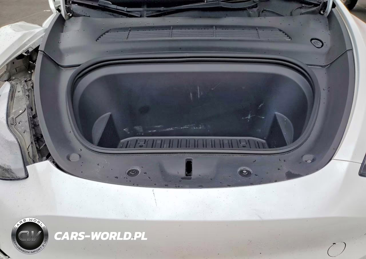 2023 Tesla Model Y VIN:7SAYGDEE1PF759068 - 11