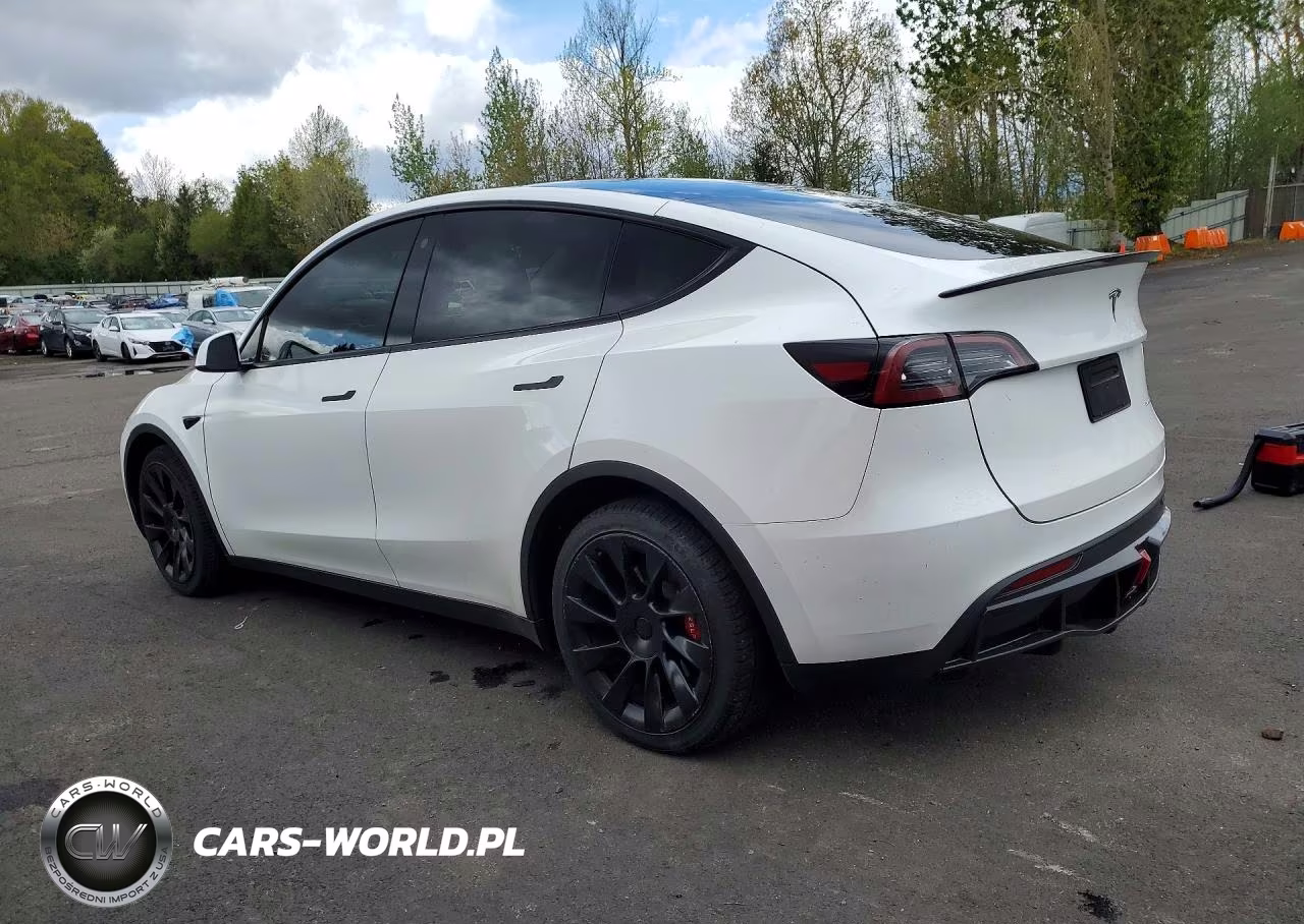 2023 Tesla Model Y VIN:7SAYGDEE1PF759068 - 2
