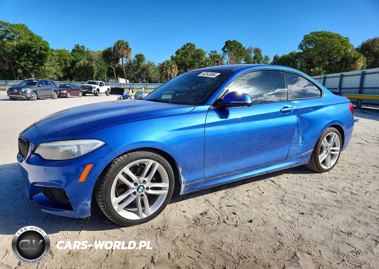 2017 BMW 230I