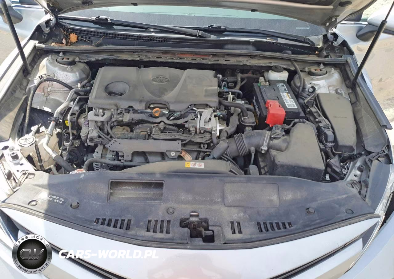 2019 Toyota Camry Le VIN:4T1B11HK9KU258431 - 11