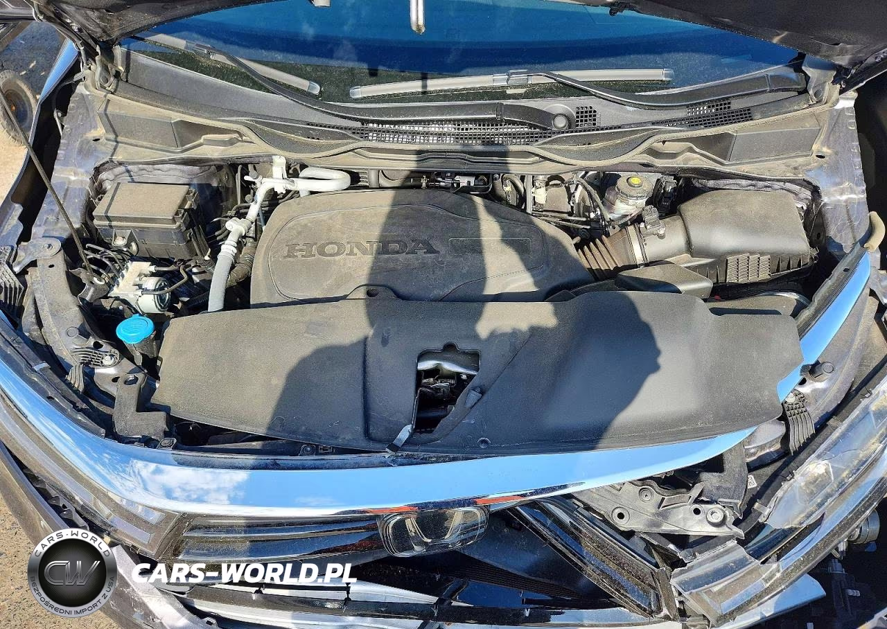 2024 Honda Odyssey Elite VIN:5FNRL6H99RB031458 - 12