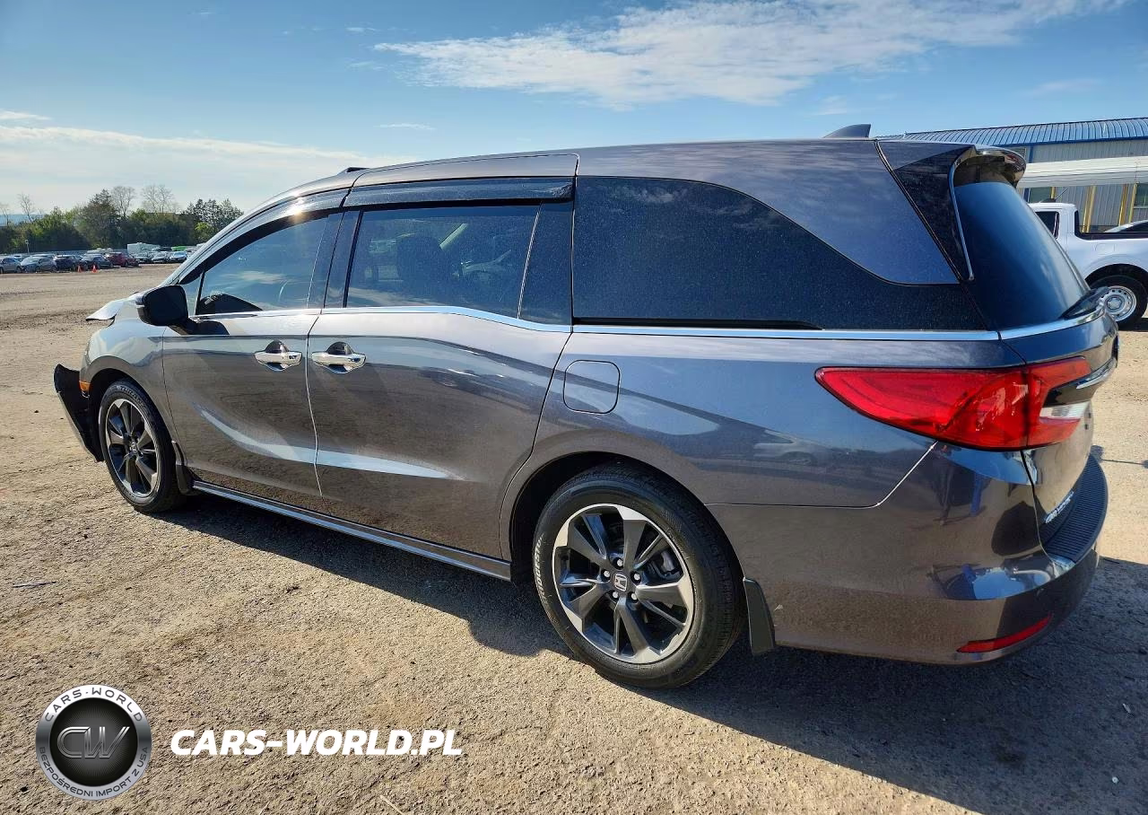 2024 Honda Odyssey Elite VIN:5FNRL6H99RB031458 - 2