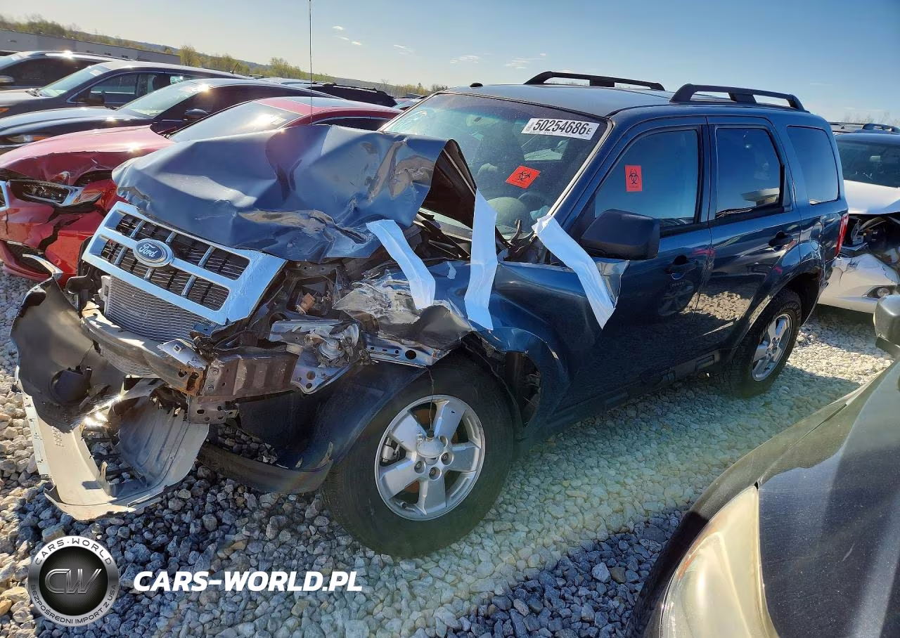 2010 Ford Escape Xlt