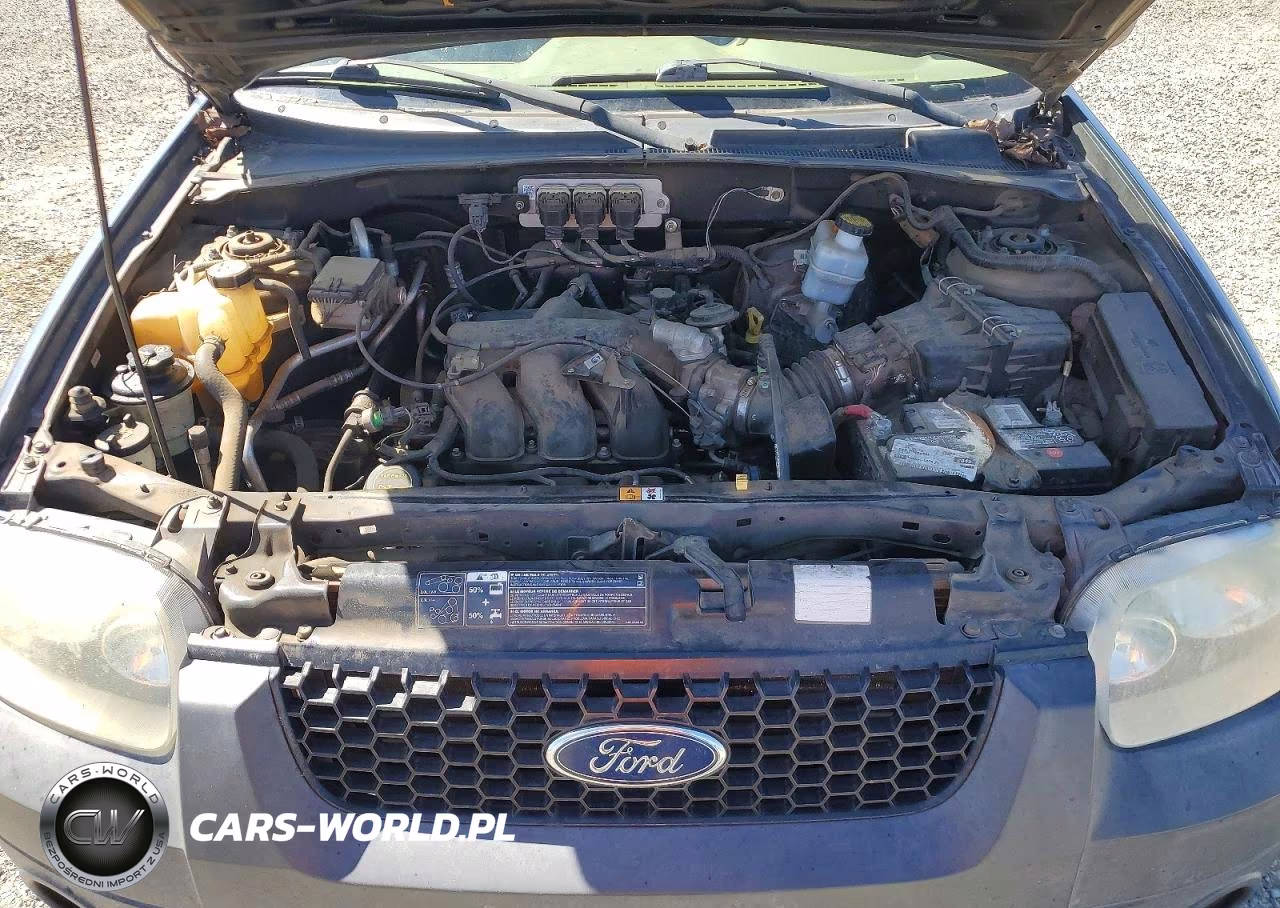 2005 Ford Escape Xlt VIN:1FMYU93165KB76400 - 11