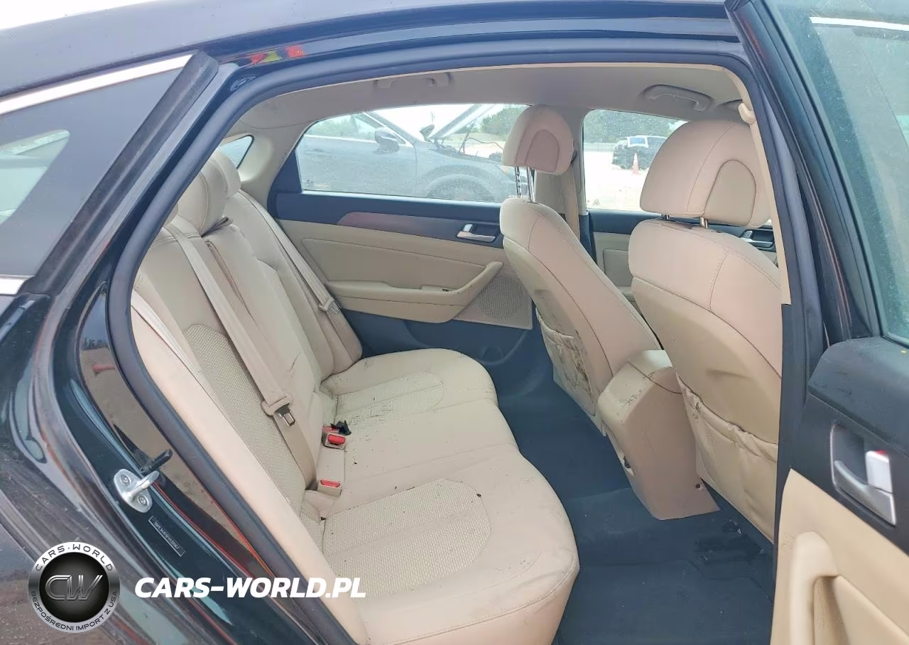 2015 Hyundai Sonata Sport VIN:5NPE34AF6FH132067 - 10