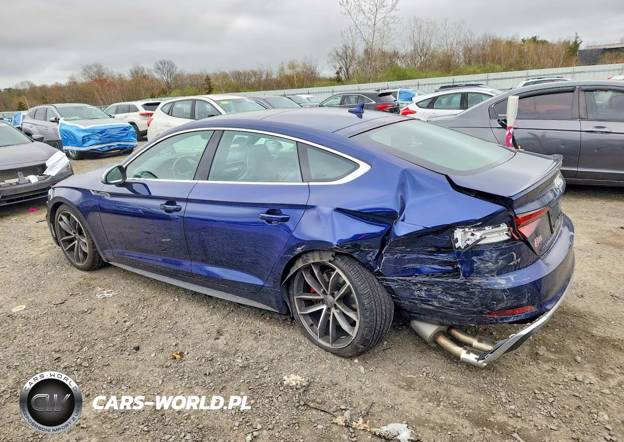 2019 Audi S5 Premium Plus VIN:WAUB4CF56KA095076 - 2