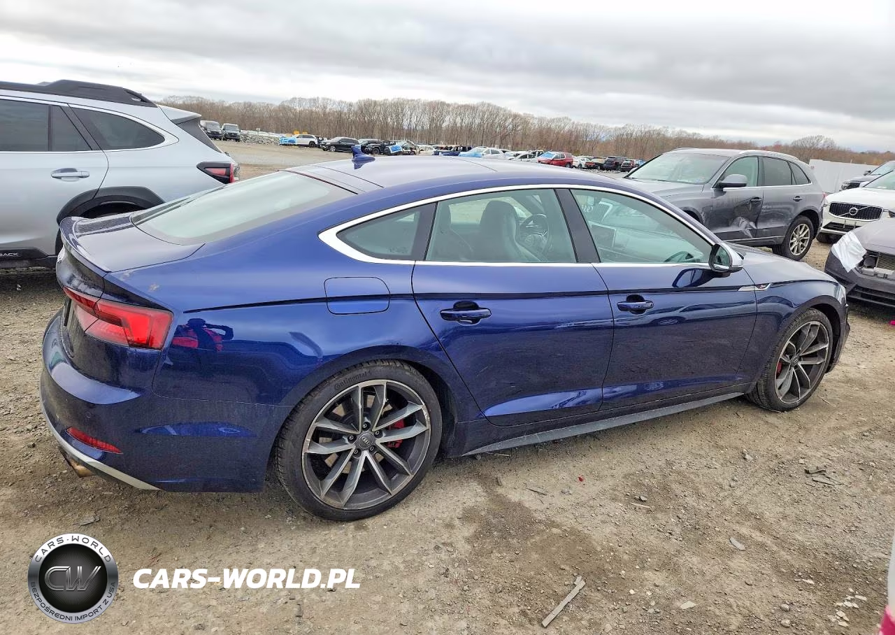 2019 Audi S5 Premium Plus VIN:WAUB4CF56KA095076 - 3