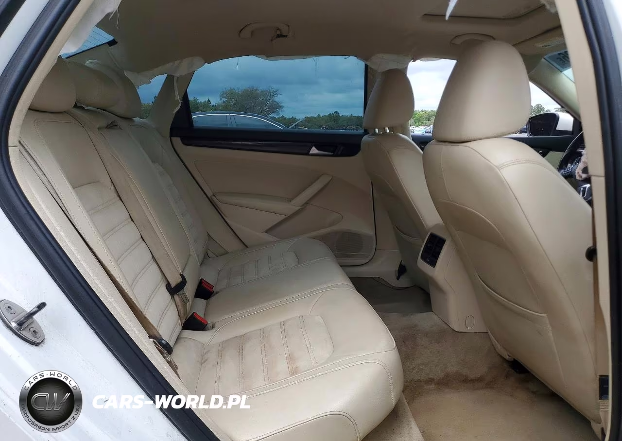 2014 Volkswagen Passat Sel VIN:1VWCN7A35EC119861 - 10