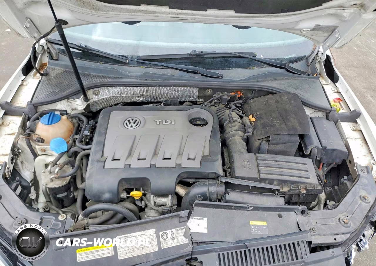 2014 Volkswagen Passat Sel VIN:1VWCN7A35EC119861 - 11