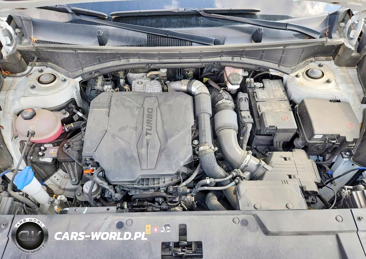 2024 Hyundai Santa Fe Sel VIN:5NMP24GL1RH062357 - 11