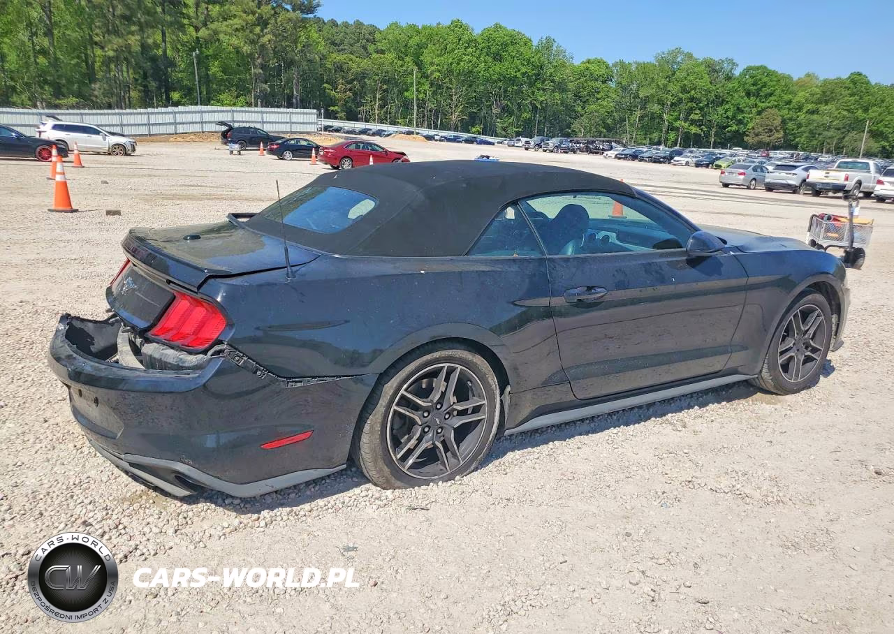 2021 Ford Mustang VIN:1FATP8UH8M5119095 - 3