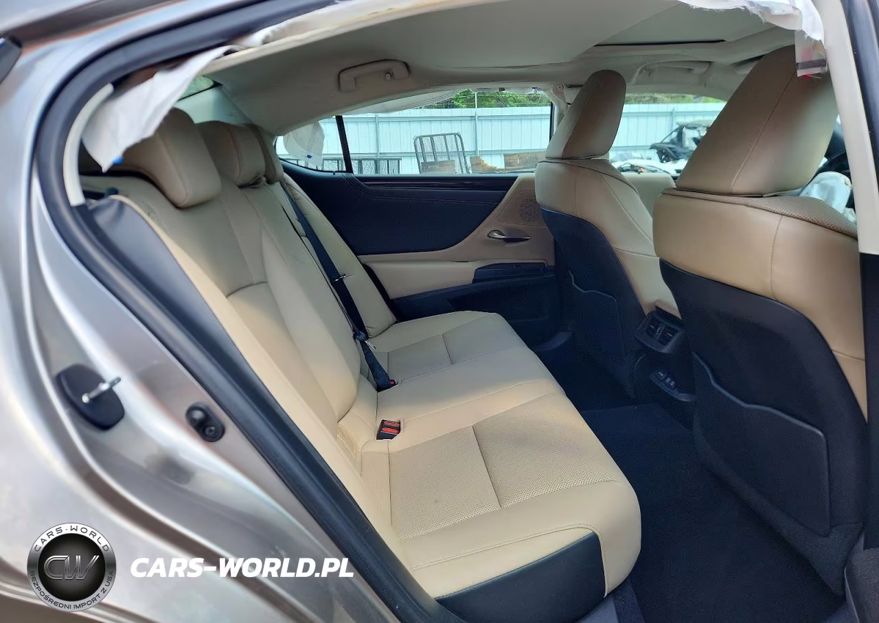 2021 Lexus Es 250 Base VIN:58AD11D18MU005070 - 10