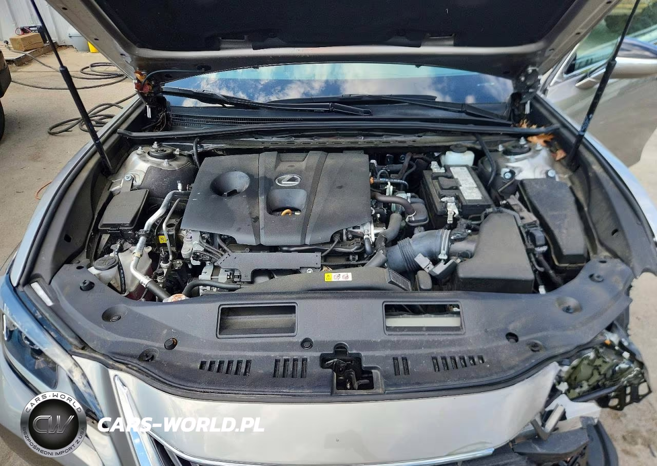 2021 Lexus Es 250 Base VIN:58AD11D18MU005070 - 11